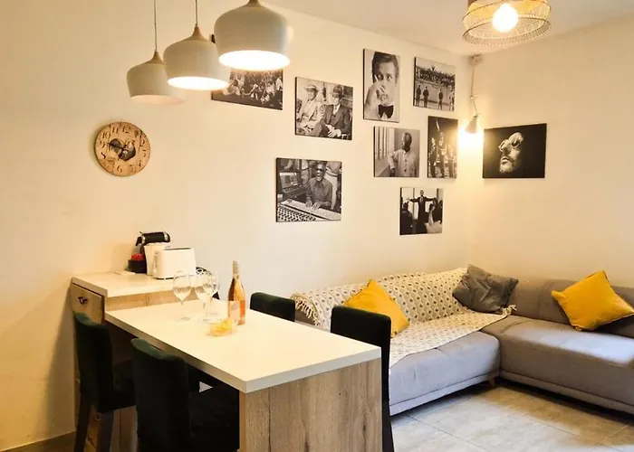 Joli T3 Moderne Avec Terrasse & Climatisation
