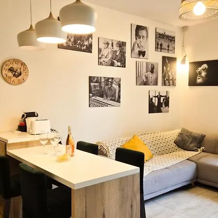 Joli T3 Moderne Avec Terrasse & Climatisation